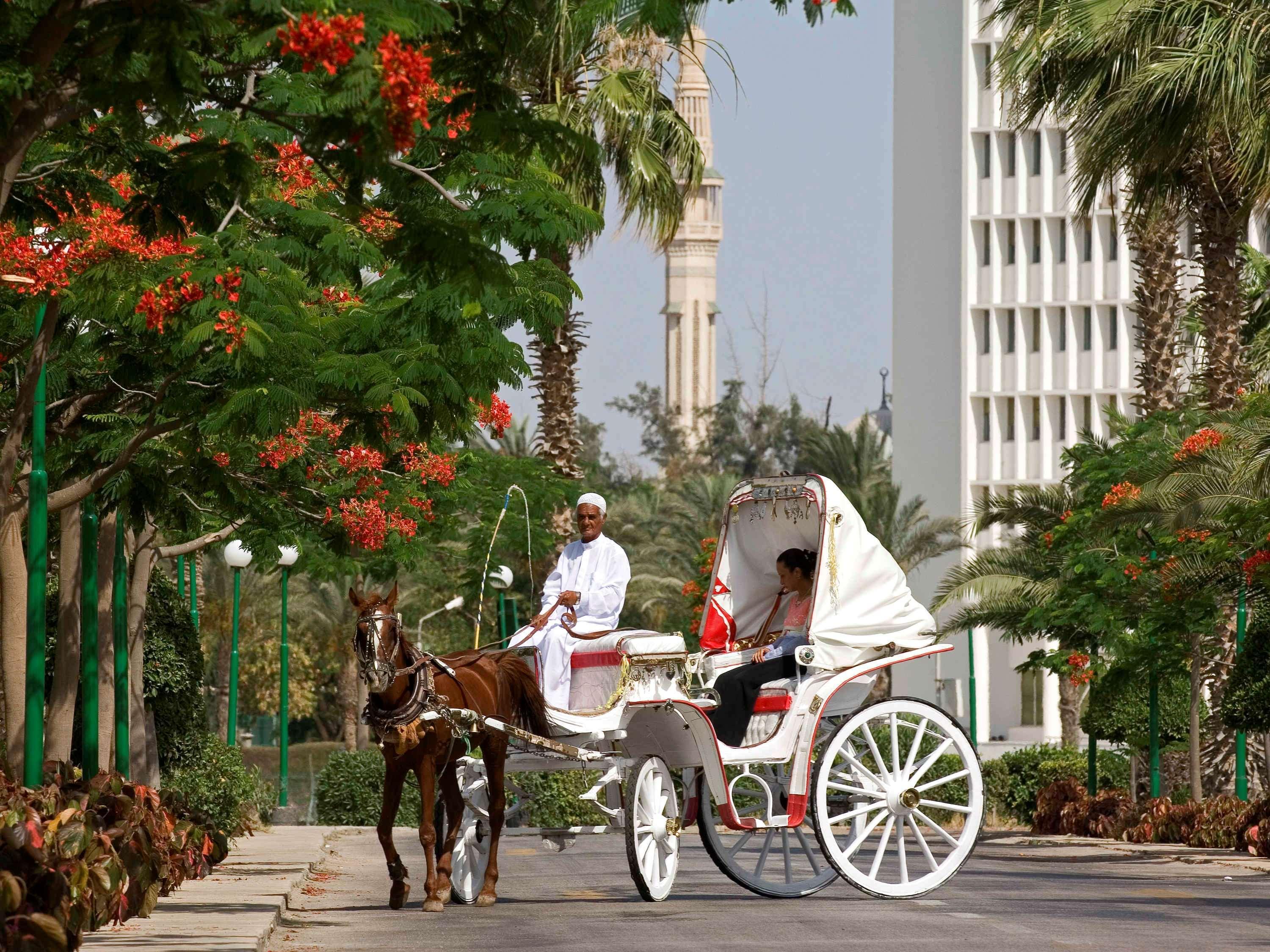 Mercure Ismailia Forsan Island Exterior photo